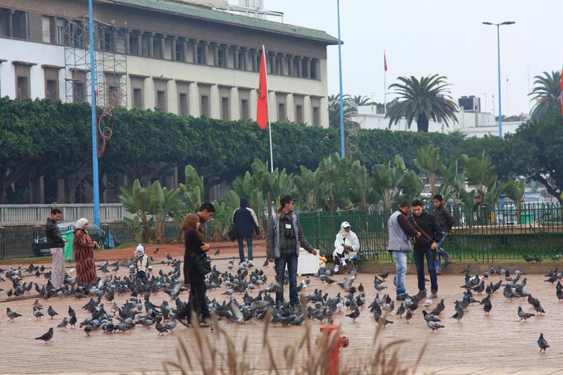 23-Casablanca,28 dicembre 2013.JPG